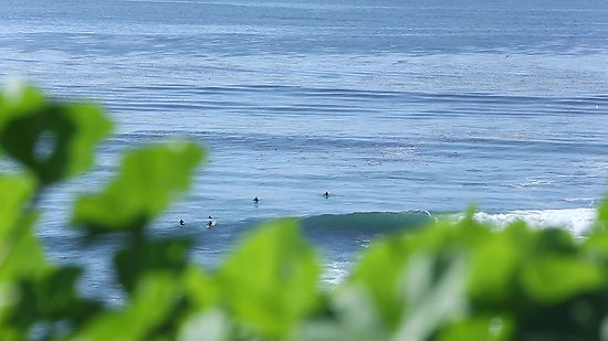 Stationary Surfers Floating from Distance
